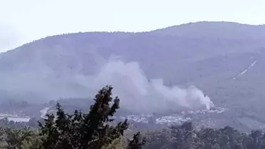 Milas'ta Yangın Panik Yarattı