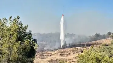 Adana'da Orman Yangını Çıktı