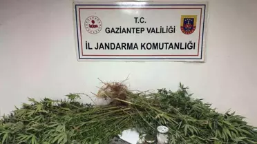Gaziantep'te Uyuşturucu Operasyonu