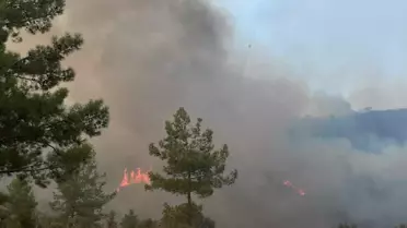 Muğla'daki Yangın Yerleşim Yerlerine Yaklaşıyor