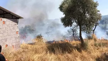 Bodrum'da Yangın Kontrol Altına Alındı
