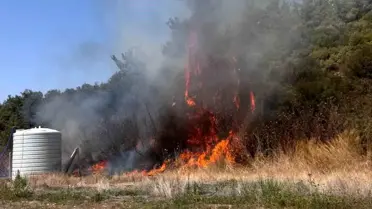 İzmir'de Orman Yangınına Hava ve Karadan Müdahale