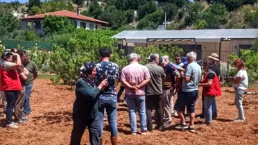 Muğla'da Sakız Ağacı Tarla Günü