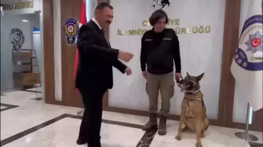 Narkotik Köpeği Pars Emekli Oldu