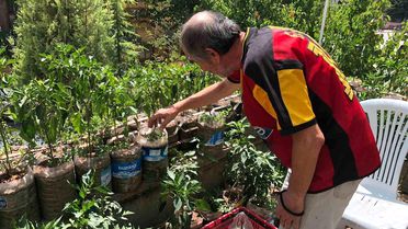 Salim Pektaş'tan Organik Tarım