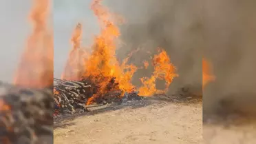 Malatya'da Arazi Yangını Ormana Sıçradı