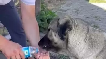 Düzce'de muhtardan duyarlı davranış