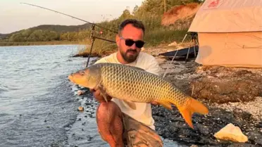 Sapanca Gölü'nde Balık Popülasyonu Sevindirdi