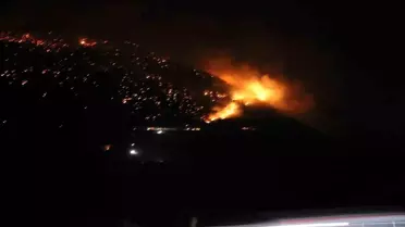 Denizli'de Orman Yangınına Müdahale Sürüyor