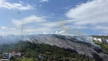 Kocaeli'de Orman Yangını