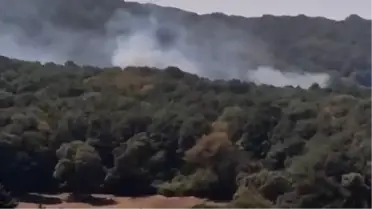 Sarıyer'de Orman Yangını
