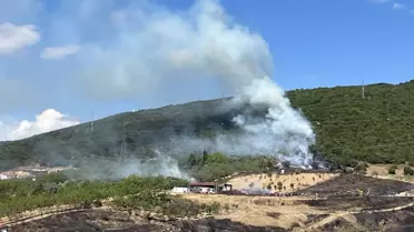 Kocaeli'nde Ot Yangınına Müdahele