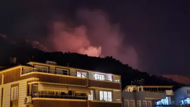 Marmara Adası'nda Orman Yangını