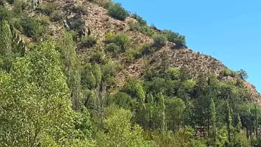 İskilip'te Kayıp Yaşlı Adam 10 Gün Sonra Bulundu