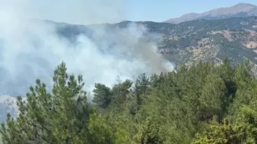 Adana'da Orman Yangını