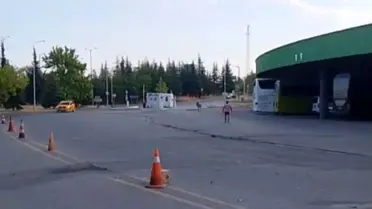 Edirne Otogarı'nın Maskotu: Başına Buyruk Eşek!
