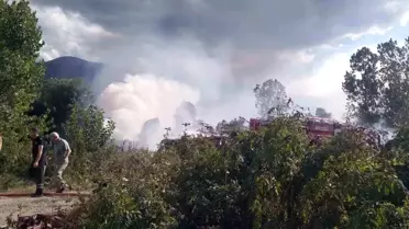 Kartepe'de Sazlık Yangını Kontrol Altına Alındı