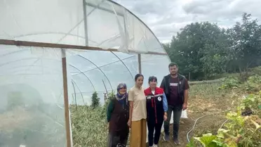 Sinop'ta Kadın Üreticilere Sera Desteği