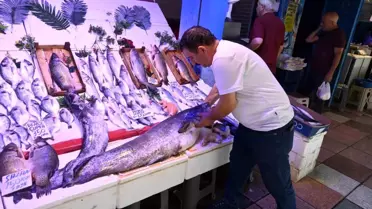 Eskişehir'de Dev Yayın Balığına İlgi