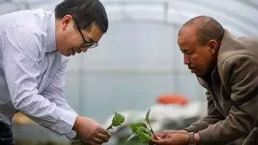 Çin ve Etiyopya Tarımda İşbirliği