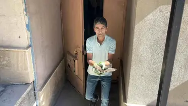 Yavru Şahin Koruma Altına Alındı