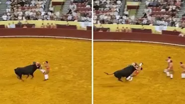Boğa güreşçisi boynuz darbesiyle hayatını kaybetti, seyirci kalp krizi geçirdi