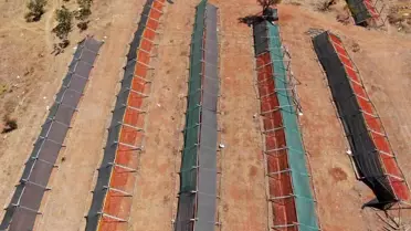 Gaziantep'te Kurutmalık Sebze Sezonu
