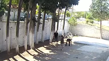 Belediye Başkanından Zabıta Memurlarına Şiddet: Mobbing İddiaları