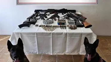 Kars'ta Yasadışı Silah Operasyonu