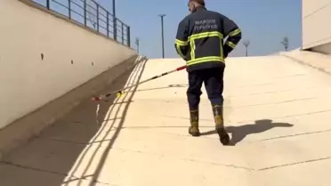 Diş Hastanesinde Yılan Panikleri