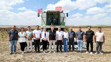Silivri Belediyesi Ayçiçeği Hasadına Başladı