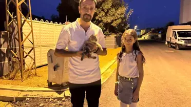 12 Yaşındaki Kızın Duyarlılığıyla Yaralı Kedi Kurtarıldı