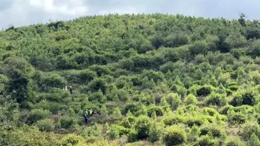 Kaybolan 90 Yaşındaki Adamın Cansız Bedeni Bulundu