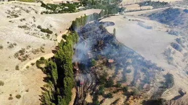 Çorum'da Tarlada Yangın: Tarla Sahibi Yaralandı