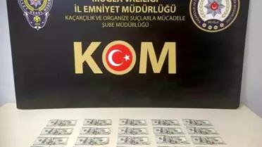 Muğla'da Sahte Dolar Operasyonu