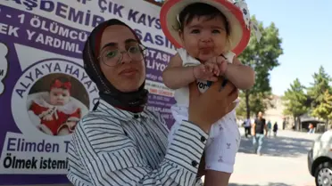 Alya'nın Yaşam Mücadelesi