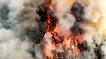 Karabük'te Orman Yangını: Evler Boşaltıldı