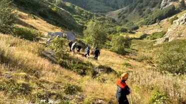 Şavşat'ta İnek Kurtarma Operasyonu