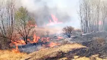 Yozgat'ta Çıkan Yangınlarda 500 Dönüm Otluk ve 50 Dönüm Ağaçlık Alan Yandı