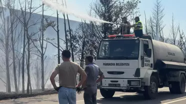Sakarya'da Geri Dönüşüm Yakınında Yangın