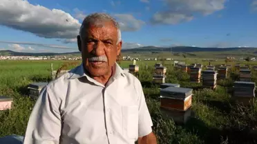 Ardahan'da Çiçek Balı Hasadı Tamamlandı