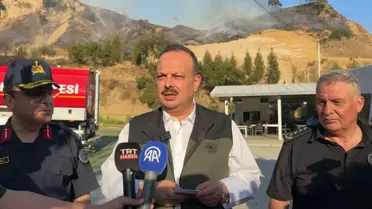 Aydın'da Orman Yangını Kontrol Altında