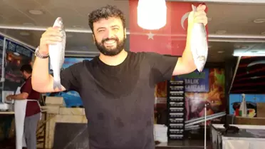 Balık Avı Sezonu Başladı, Palamut Yok