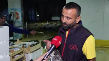 Balıkçılar Yeni Sezonda Umutlu