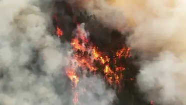 Karabük'te devam eden orman yangının çıkış nedeni belli oldu: 5 kişi gözaltında