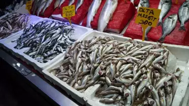 Karadeniz’de Av Sezonu Başladı, Hamsi Beklentisi Var