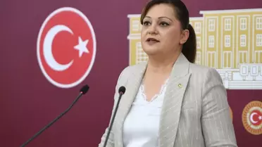 Burcu Köksal'ın yargılandığı 'böcek' davası hakkında karar verildi