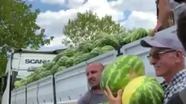 Hendek'te Ücretsiz Karpuz Dağıtımı