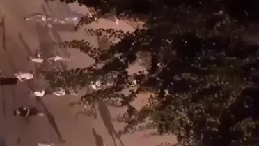 Menteşe Belediye Başkanı'nın Ailesine Molotoflu Saldırı