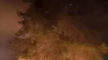 Muğla Ula'da Yangın Hızla Kontrol Altına Alındı